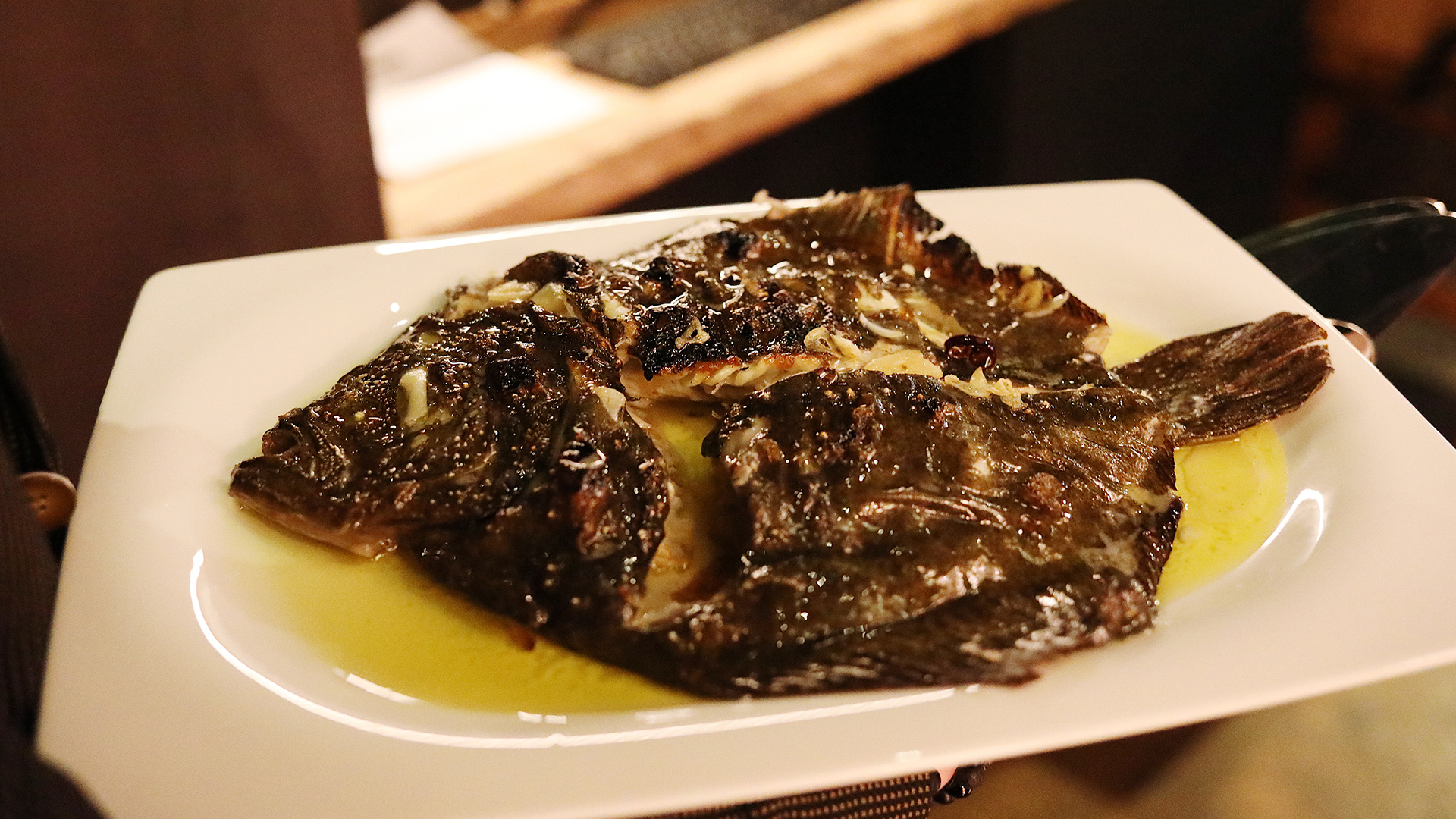 Plato 1